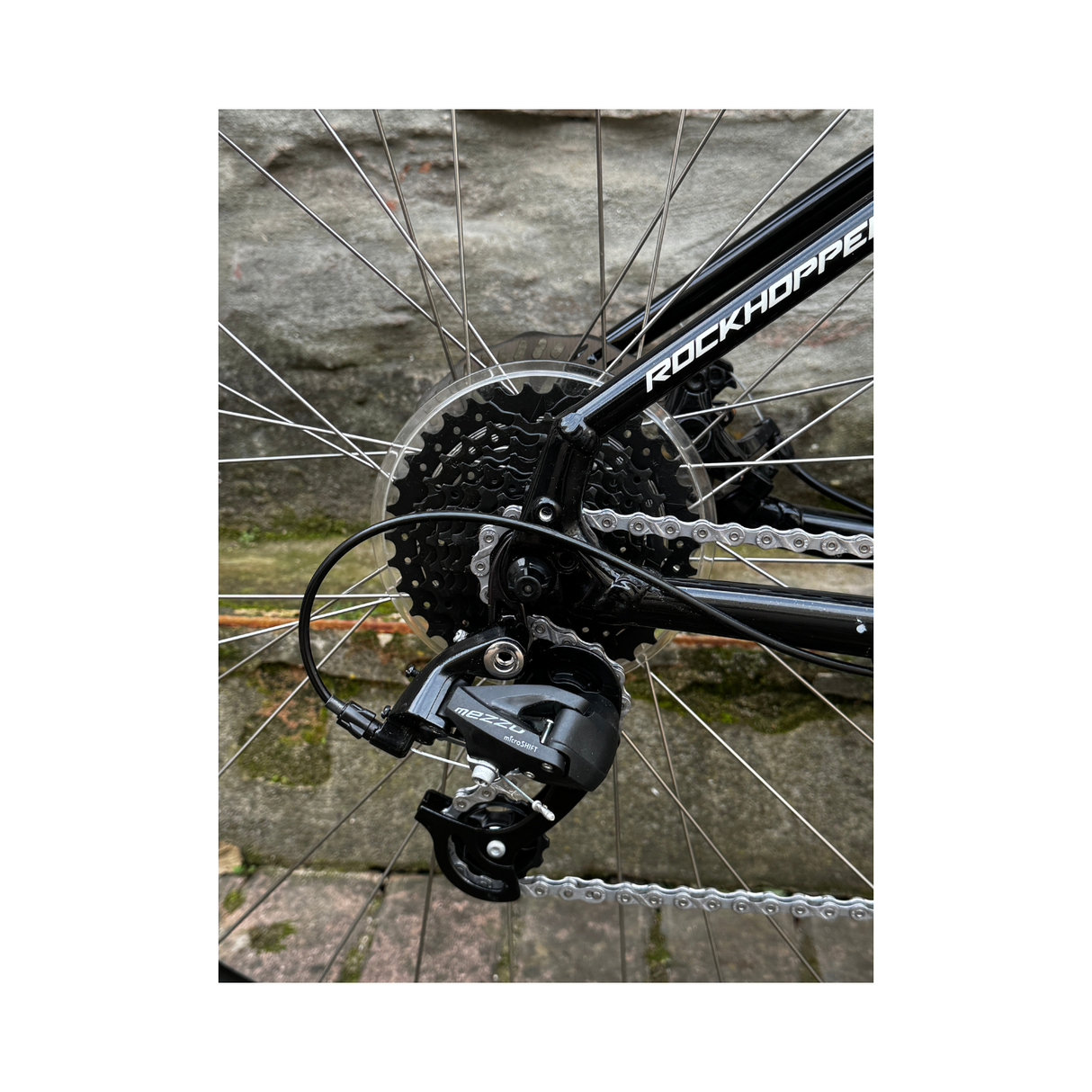 Bicicletta Specialized Rockhopper