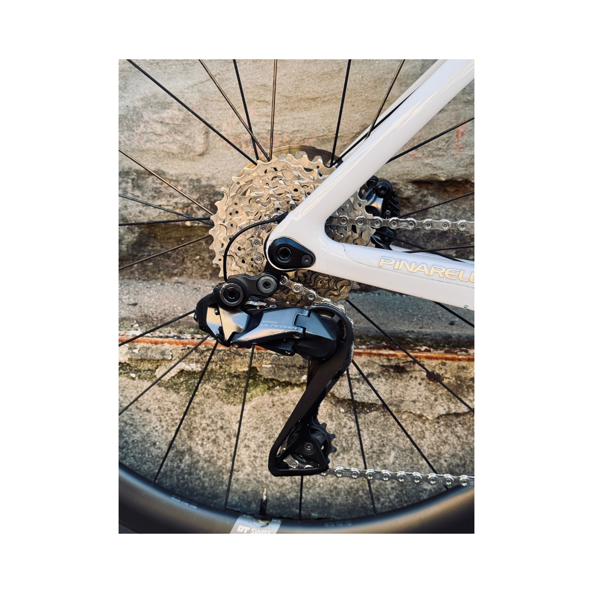 Bicicletta Dogma F