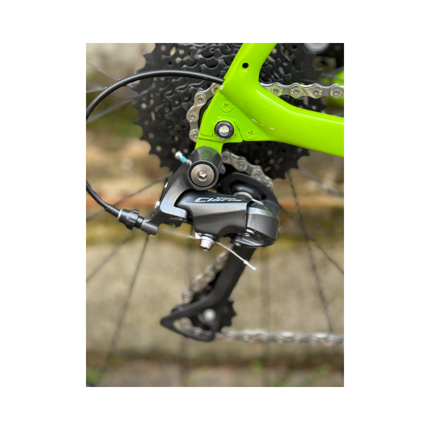 Bicicletta Princycles Allroad
