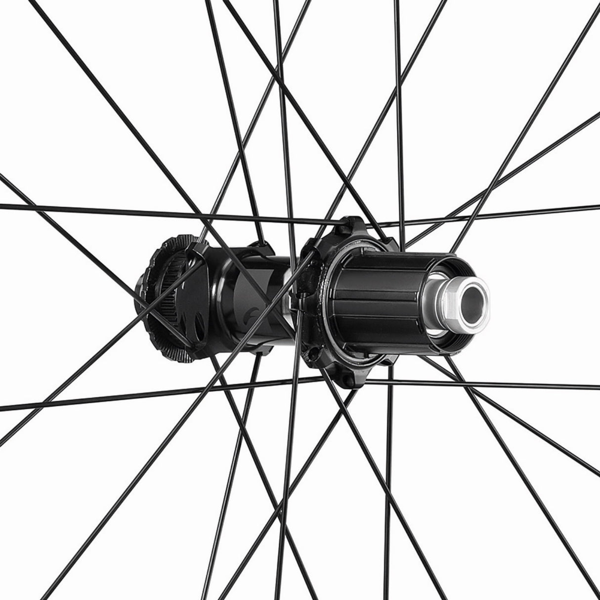 Ruote in carbonio Fulcrum Wind 42 DB per bici da corsa e gravel leggero (ASTM 2).