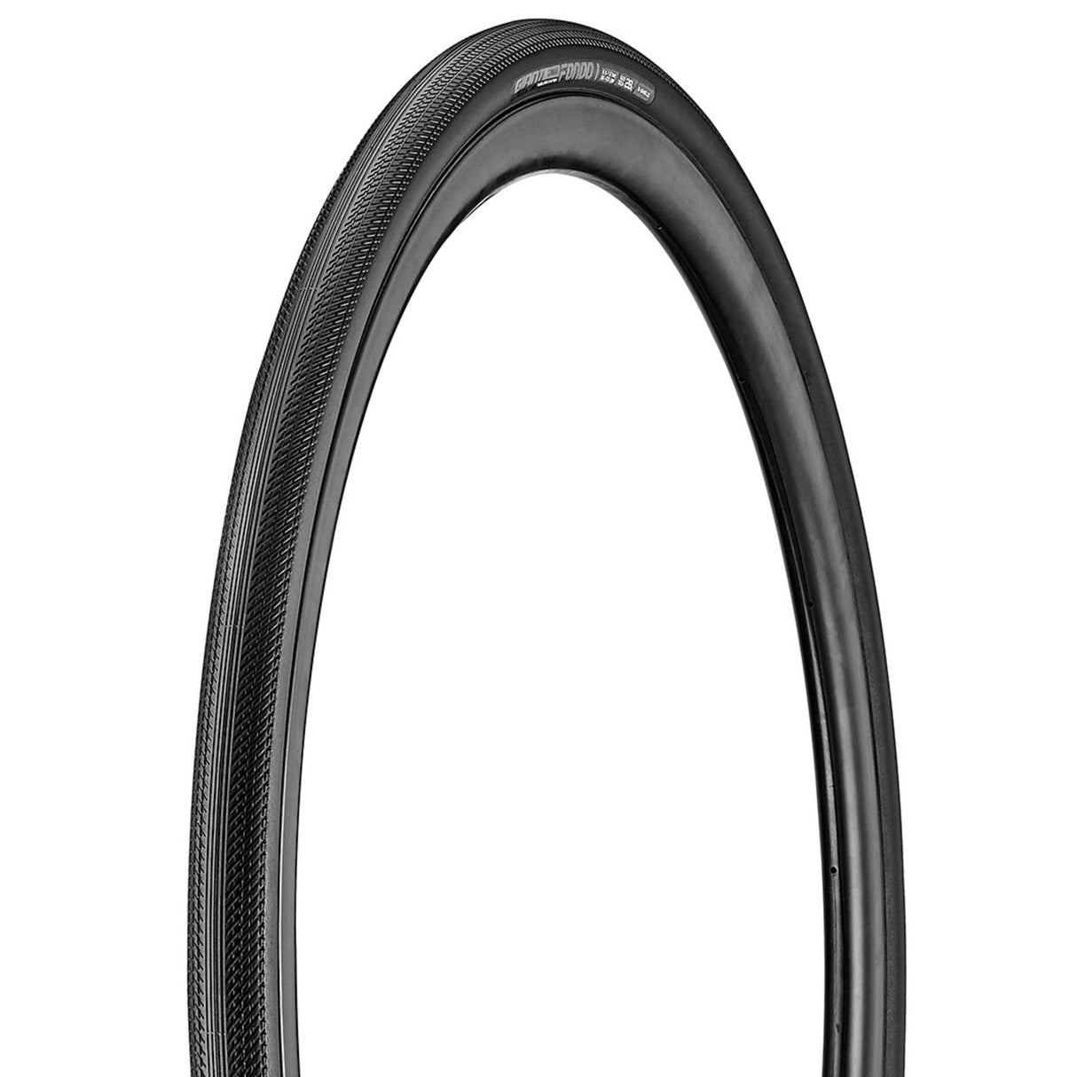 Copertone Giant Gavia Fondo 1