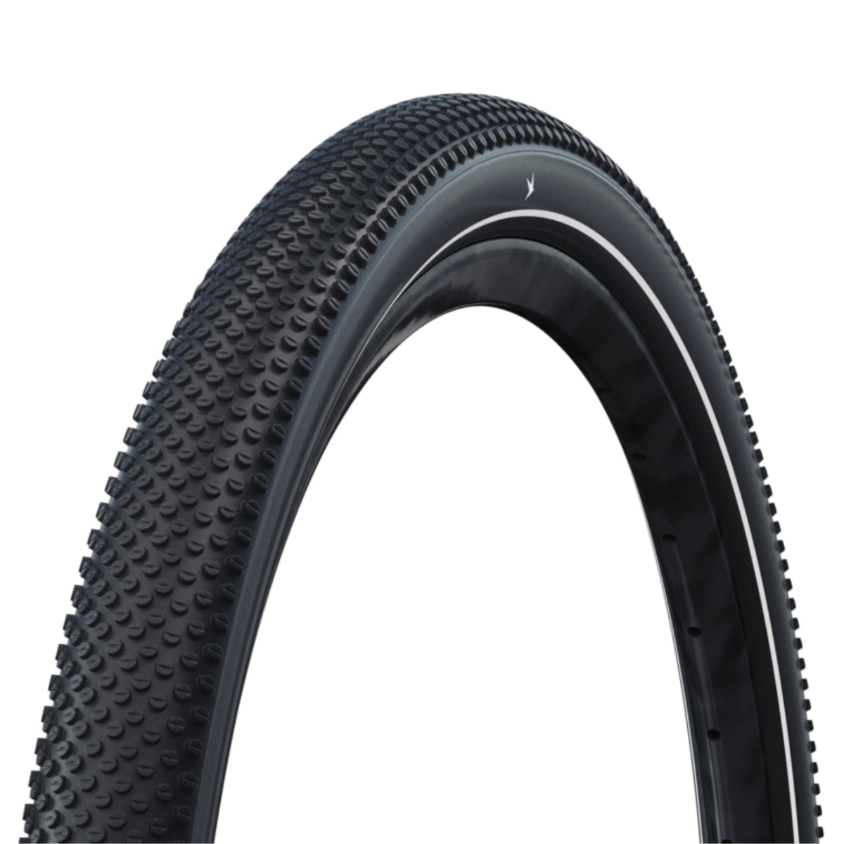 Copertone Schwalbe G-One Addix Allround Performance RaceGuard TLR HS473