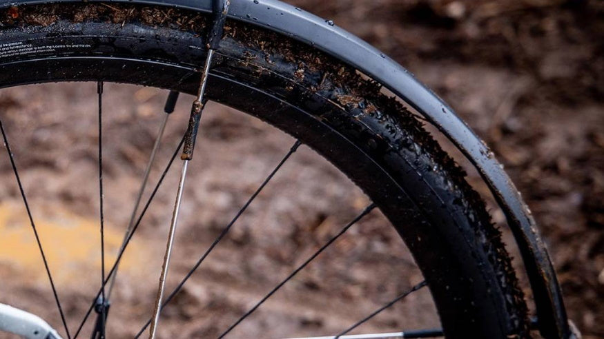 Parafanghi