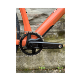Bicicletta Urs 01 Three