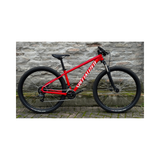 Bicicletta Specialized Rockhopper 29