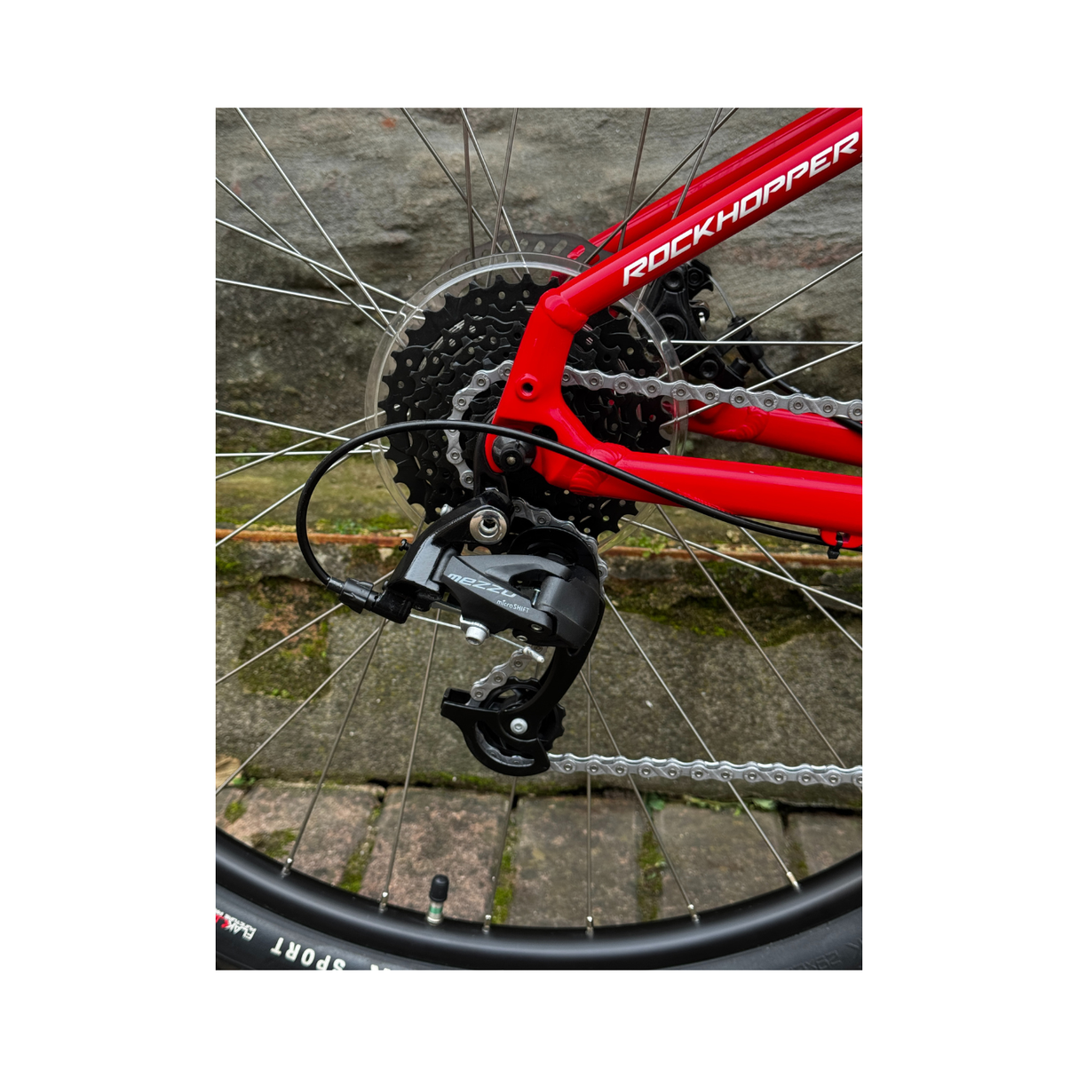 Bicicletta Specialized Rockhopper 29