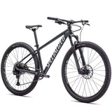 Bicicletta Rockhopper Expert 29