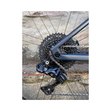 Alpenchallenge AMP LTD