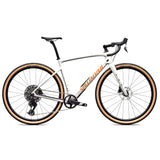 Bicicletta Diverge 4 Comp Carbon
