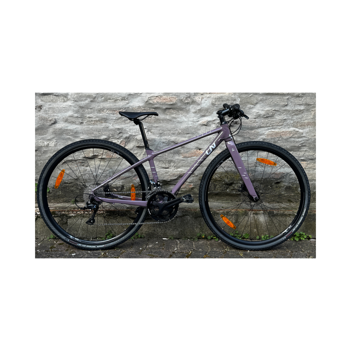 Bicicletta Liv Thrive 2