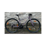 Bicicletta Liv Thrive 2