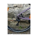 Bicicletta Liv Thrive 2