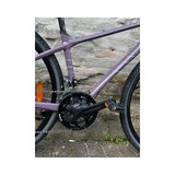 Bicicletta Liv Thrive 2