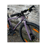 Bicicletta Liv Thrive 2