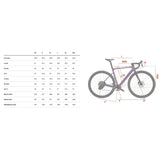 Bicicletta Usata Wilier Rave SLR