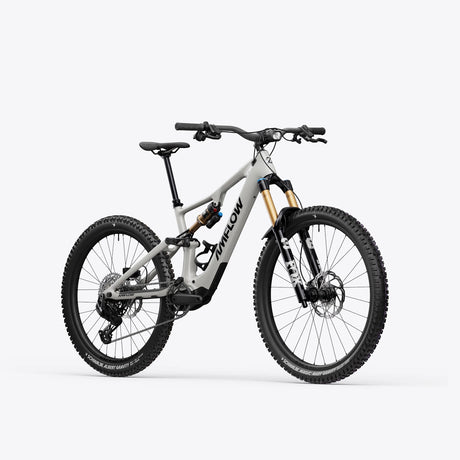 Bicicletta Amflow PX Carbon Pro