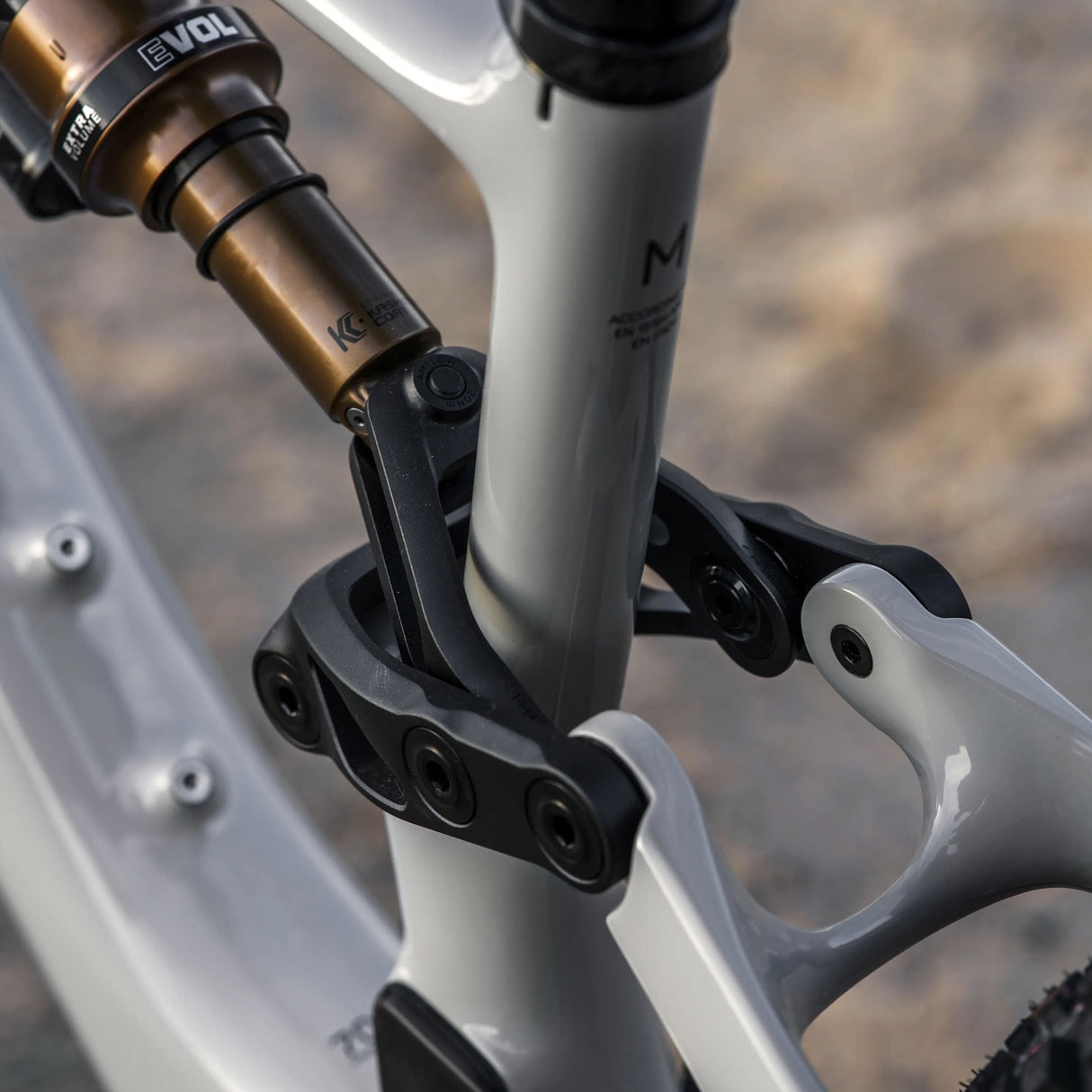 Bicicletta Amflow PX Carbon Pro
