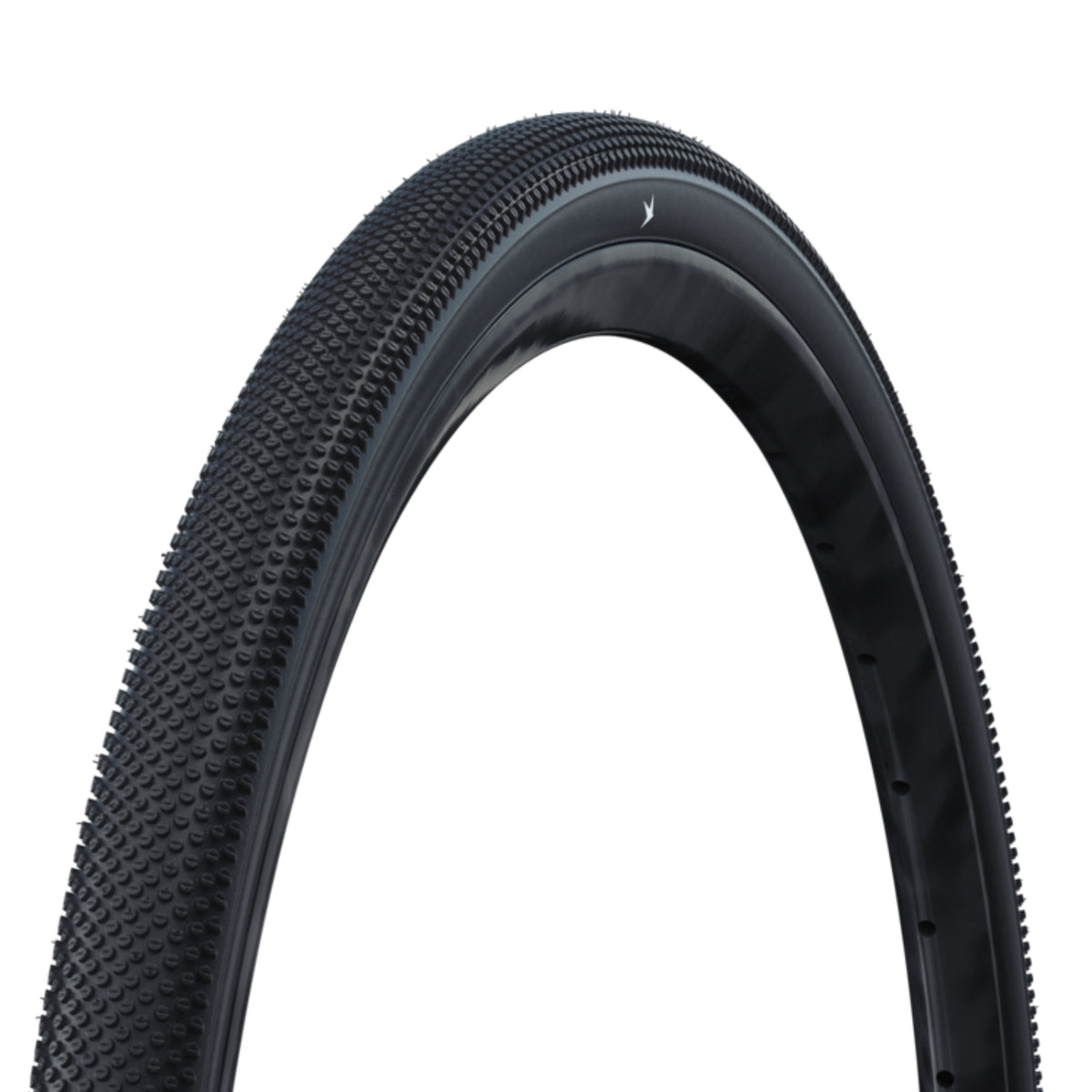 Copertone Schwalbe G-One Addix Allround Performance RaceGuard TLR HS473