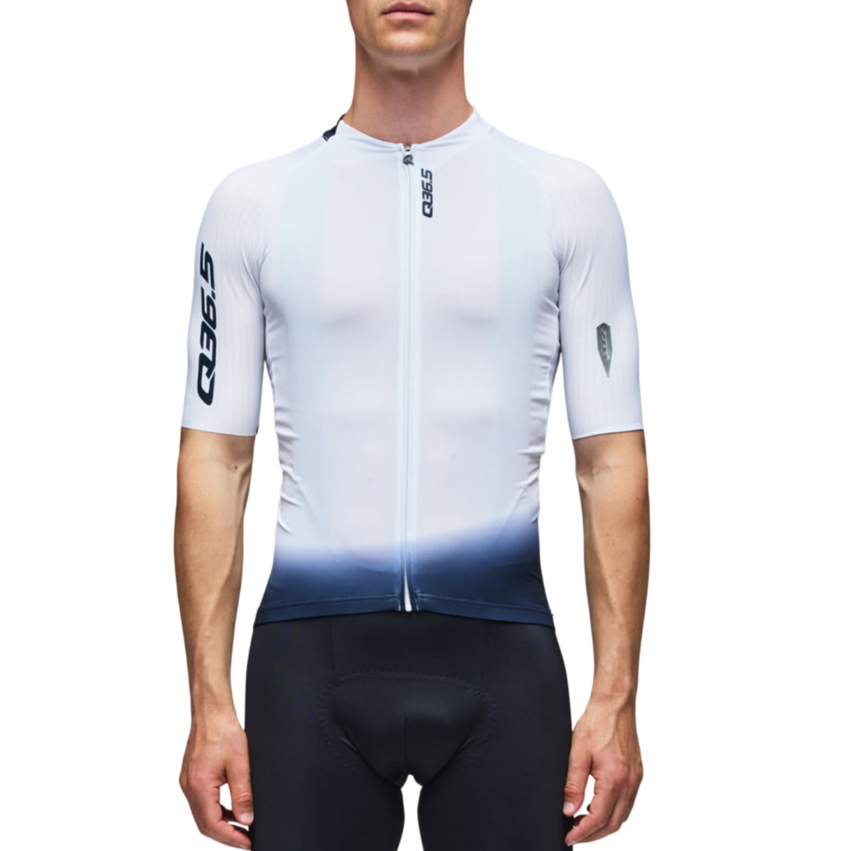 Q36.5 Gregarius Pro Collar Fade Signature Short Sleeve Jersey